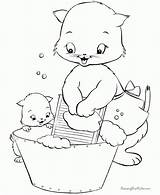 Kitten Kittens Kolorowanki Koty Kolorowanka Everfreecoloring Raisingourkids Druku sketch template