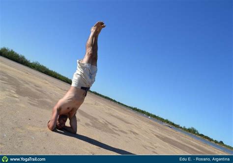 handstand yoga pose asana image  eduesteves