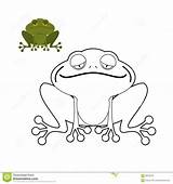 Coloring Swamp Book Amphibious Frog Reptile Animal Funny Vector sketch template