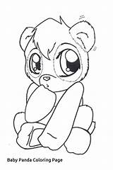 Panda Coloring Pages Cute Baby Pandas Colouring Bear Face Color Printable Getcolorings These Popular sketch template