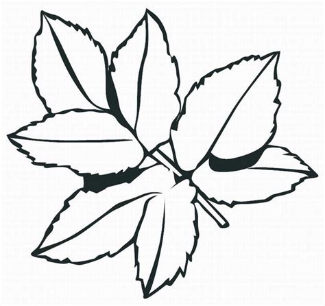 fall leaves coloring pages