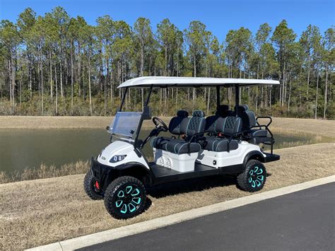 custom  passenger advanced ev street legal golf cart  wet
