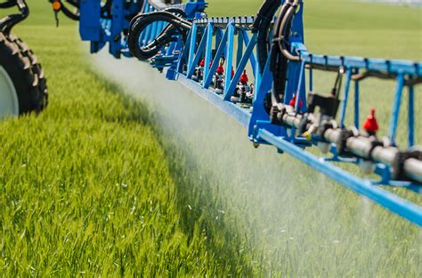 farmers spray  crops good   grain