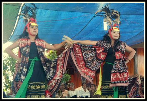 tari kabokang tarian tradisional  sumba timur ntt cinta indonesia