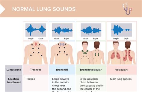 charting lung sounds  cheat sheet lecturio nursing