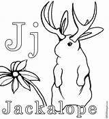 Jackalope sketch template