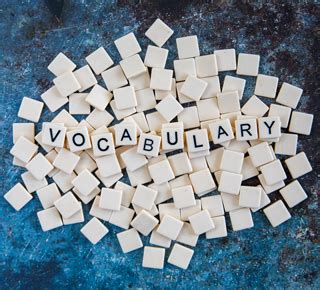 ks vocabulary age  ks vocabulary age  revision  quizzes