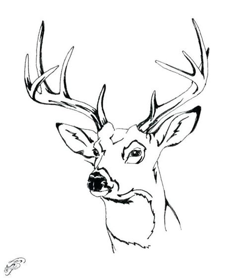 printable deer coloring pages leahaxrichardson