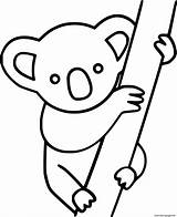 Koala sketch template