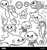 Coloriage Ausmalbilder Alamy Marins Meereswelt Stampare Vettoriale Tiere Fische Coloriages Malvorlage Beste Ozean Furkan sketch template