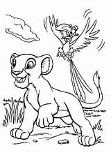 Coloring Pages Zazu Simba Lion King Popular Getdrawings Kidsplaycolor sketch template