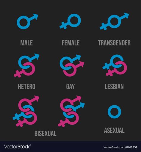 sexual orientation icons royalty free vector image