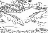 Coloring Alligator Pages Printable Kids Cool2bkids sketch template