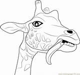 Giraffe Coloring Funny Face Pages Color Head Printable Drawing Getdrawings Getcolorings Coloringpages101 Animals Colorings sketch template