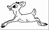 Coloring Reindeer Rudolph Pages Red Nosed Printable Clarice Realistic Head Sleigh Drawing Baby Getcolorings Rednosed Rudolf Cute Vixen Getdrawings Sizable sketch template