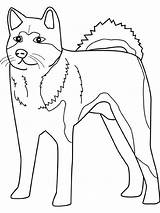 Akita Chien Husky Cani Neiges Gratuit Colorier Stampare Designlooter Coloriages 1kb 720px sketch template