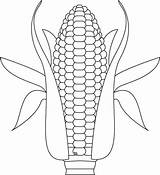 Corn Coloring Stalk Growing Indian Pages Color Printable Comments Kids Getcolorings 1024px 81kb sketch template