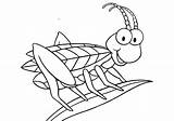 Grasshopper Coloring Pages Kids Getcolorings Printable sketch template