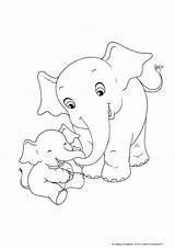 Colorare Disegni Elefanti Elefante Animali Immagini Pianetabambini Ricamo Scegli Outline Colora Siwagner sketch template