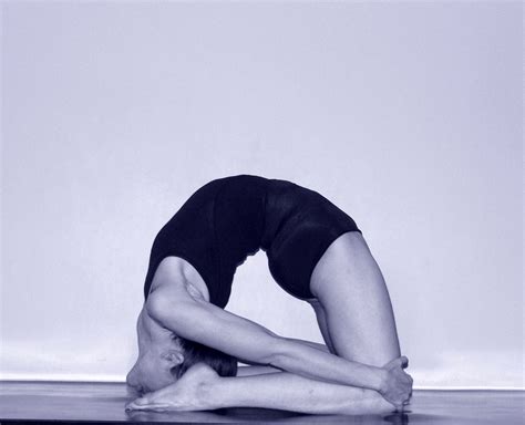 classical hatha yoga  yoga