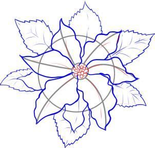 draw  poinsettia flower drawing watercolor christmas cards card art
