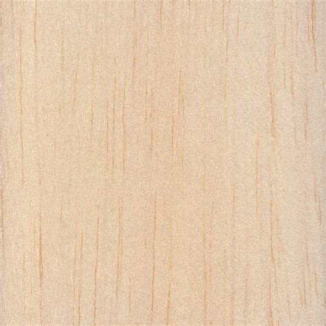 balsa  wood  hardwood