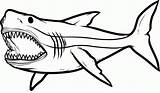 Sharks Megalodon Etk Clipartbest Hungry Clipartmag sketch template