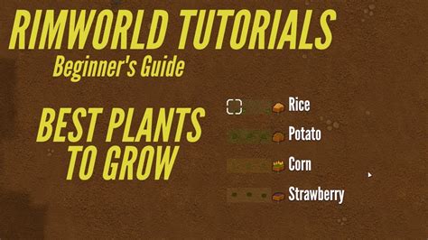 rimworld farming guide   build  maintain  farm  rimworld