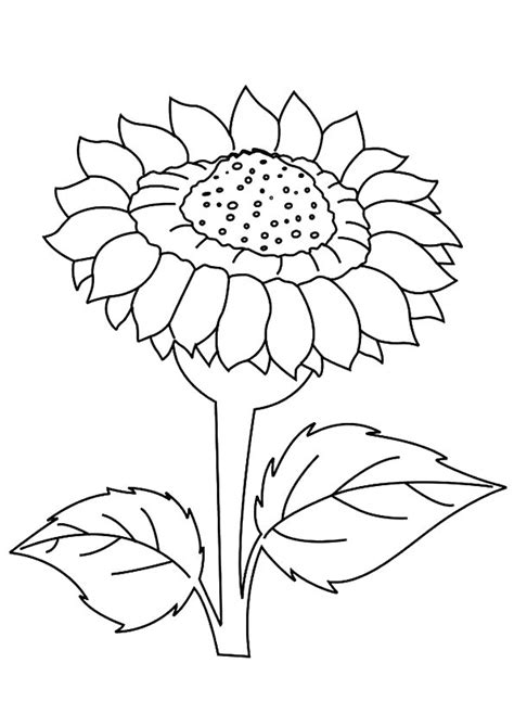 printable sunflower coloring pages sunflower coloring pictures