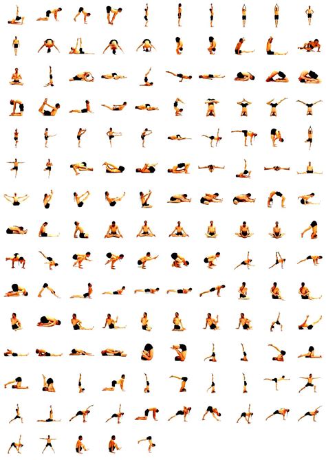 basic yoga poses  beginners chart work  picture media work  picture media