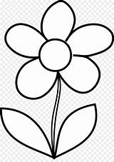 Bunga Mewarnai Matahari Putih Pngdownload Buket Dewasa sketch template