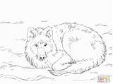 Coloring Wolf Pages Howling Pack Arctic Library Clipart Popular Line Adults sketch template
