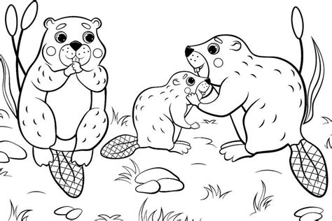 cheetah family coloring pages thiva hellas
