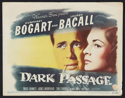 love  film noir dark passage