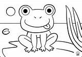 Coloring Pages Kids Animals Navigation Post Frog1 sketch template