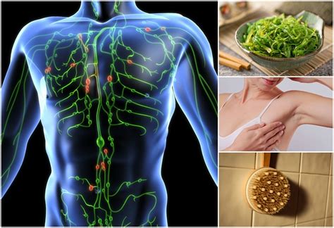 These Are The Signs Of A Sluggish Lymphatic System Learn How To Do A