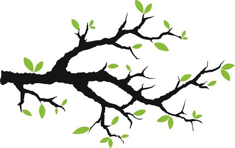 tree branch images clipart