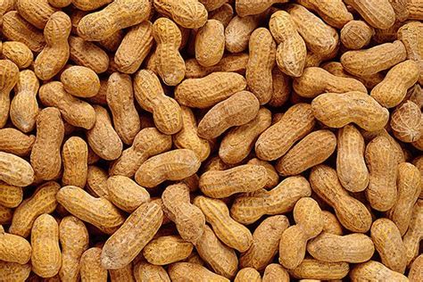 unique qualities  peanuts