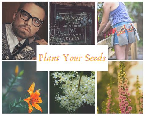 Hey Pick On Someone Your Own Size — Plant Your Seeds