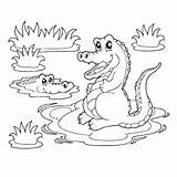 Krokodil Krokodillen Kleurplaat Ausmalbild Alligator Twee Dieren Kostenlos Letzte Erste Q4 Kiezen sketch template
