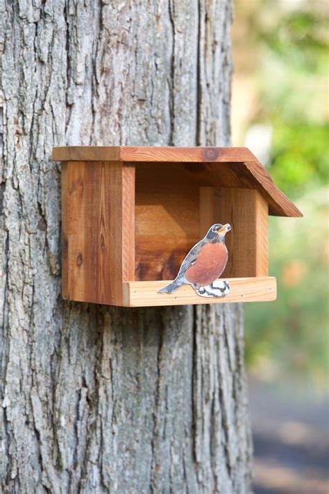 robin bird houses plans  house decor concept ideas