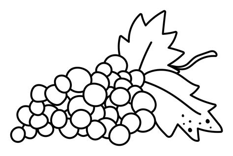 vector black  white grapes  leaves autumn fruit  icon