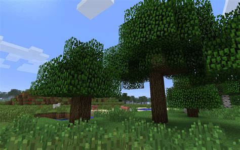 types  trees   minecraft