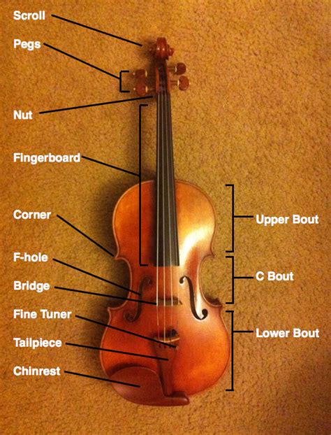 parts   violin  bow shawn boucke