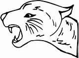 Bobcat Coloring Pages Roaring sketch template