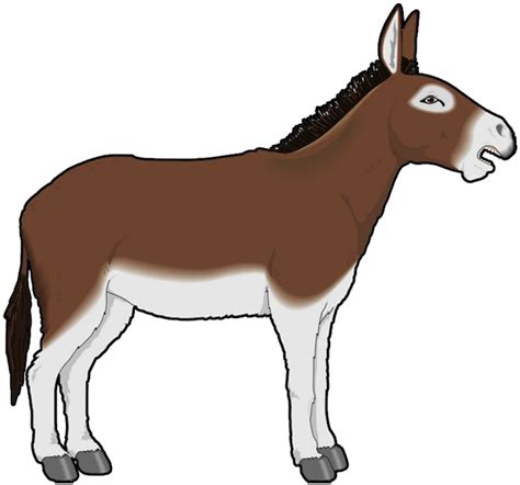 simple donkey drawing  getdrawings
