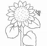 Sonnenblume Ausmalbilder Ausmalen Malvorlage Malvorlagen Sonnenblumen Bauernhof Zeichnen Kostenlose Blumen Kinder Drucken Herbst Vorlagen Familie Fingerspiel Fensterbilder sketch template