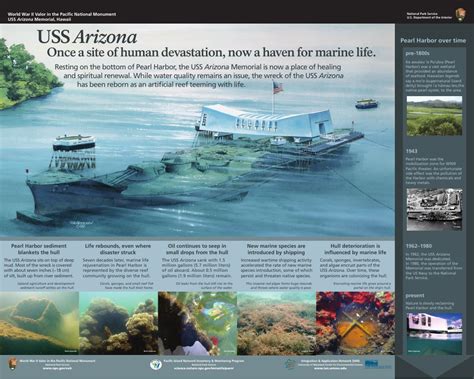 uss arizona   site  human devastation   haven  marine life publications