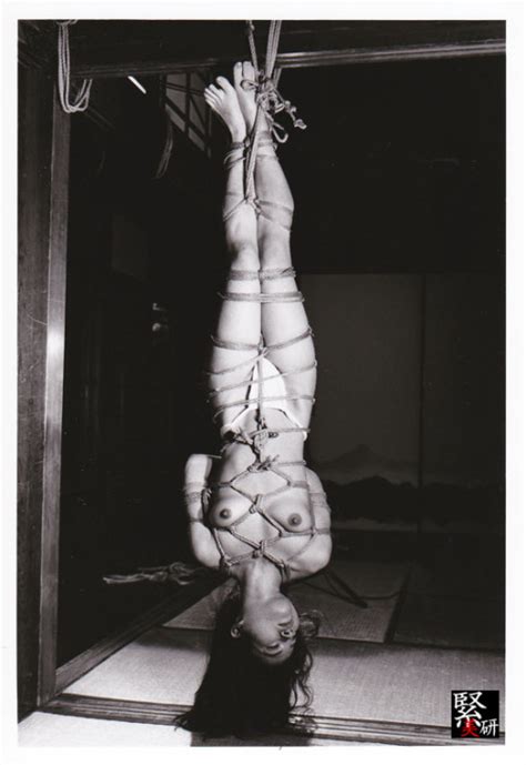 the art of japanese rope bondage shibari from japan