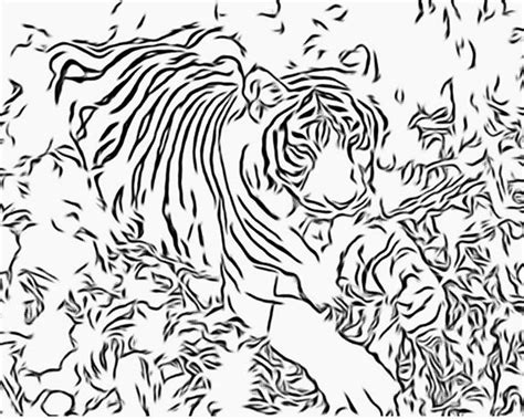 coloring pages  adults   big cat coloring pages personal